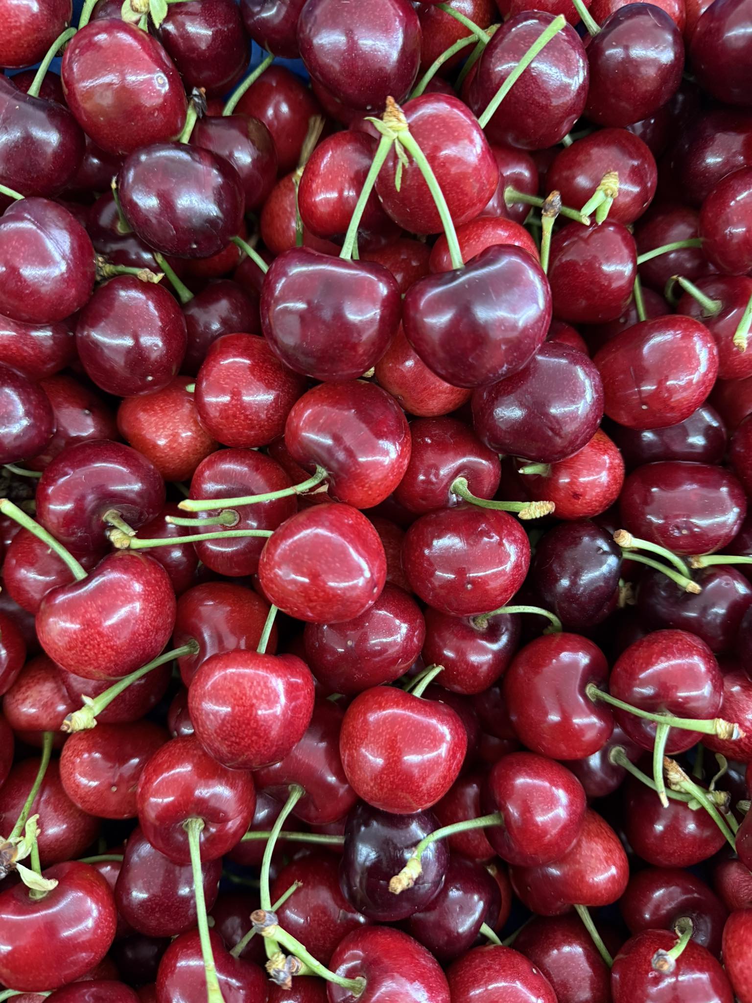 Produit frais Hamdi Prim'