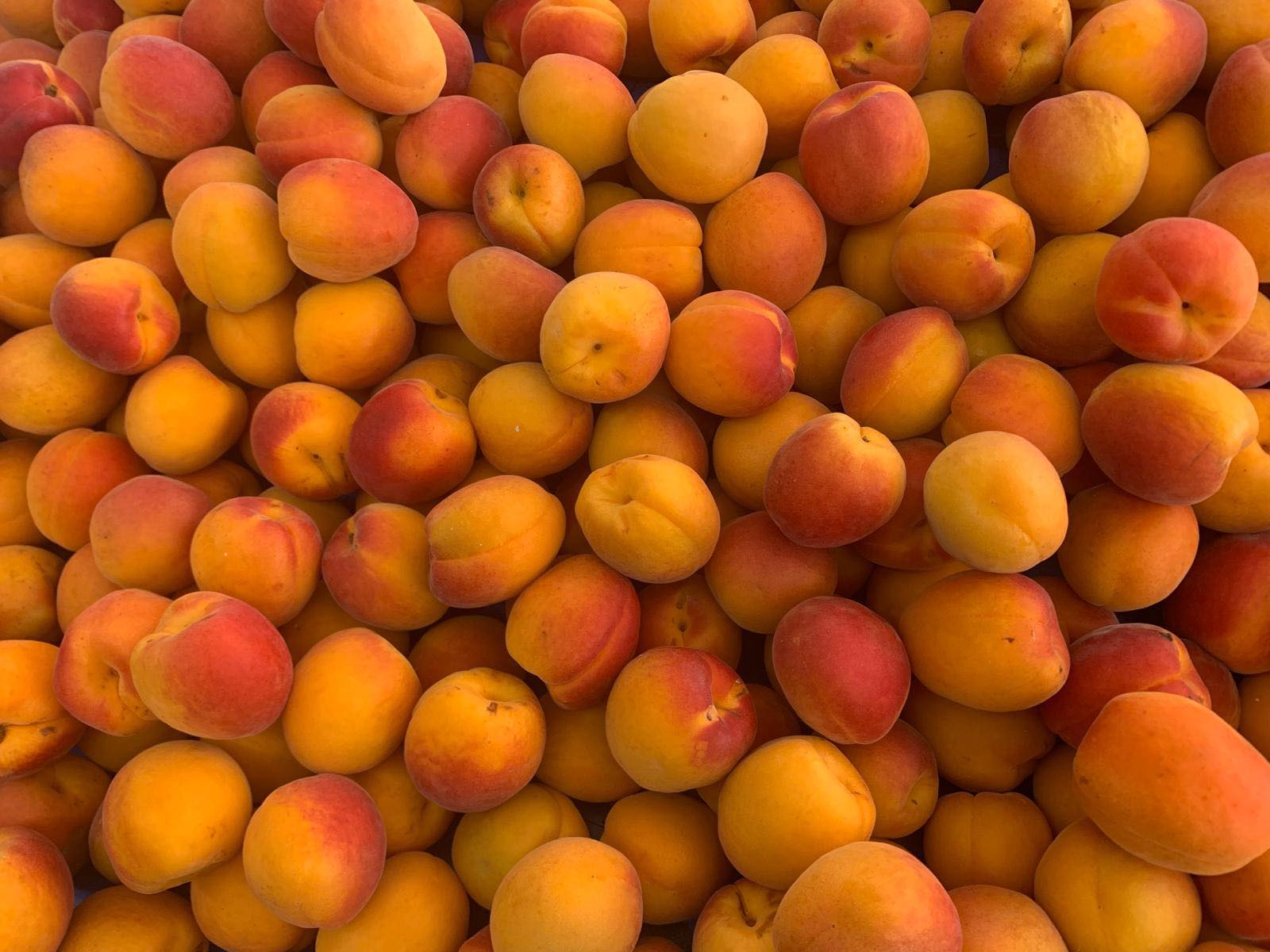 Produit frais Hamdi Prim'