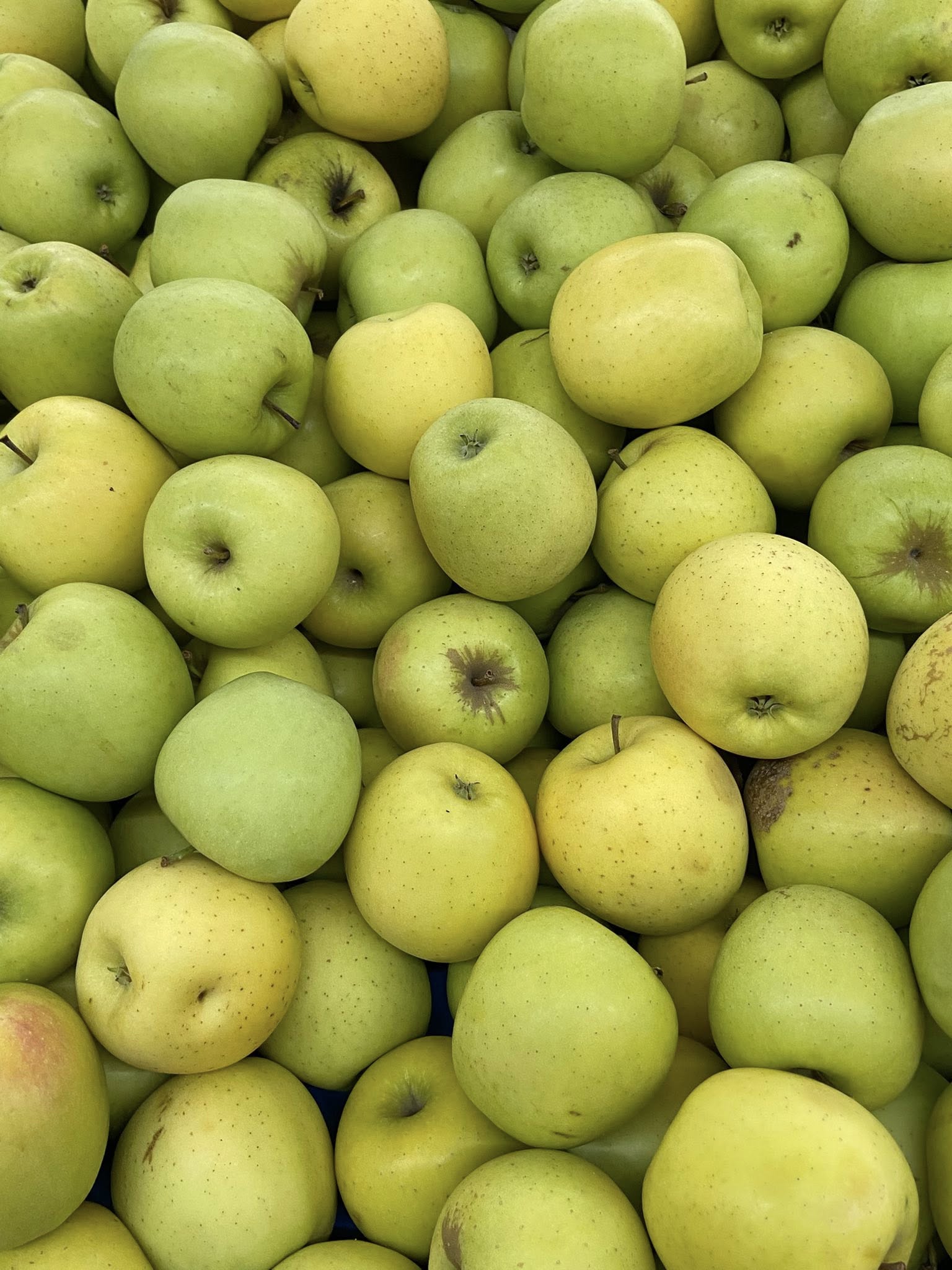 Produit frais Hamdi Prim'