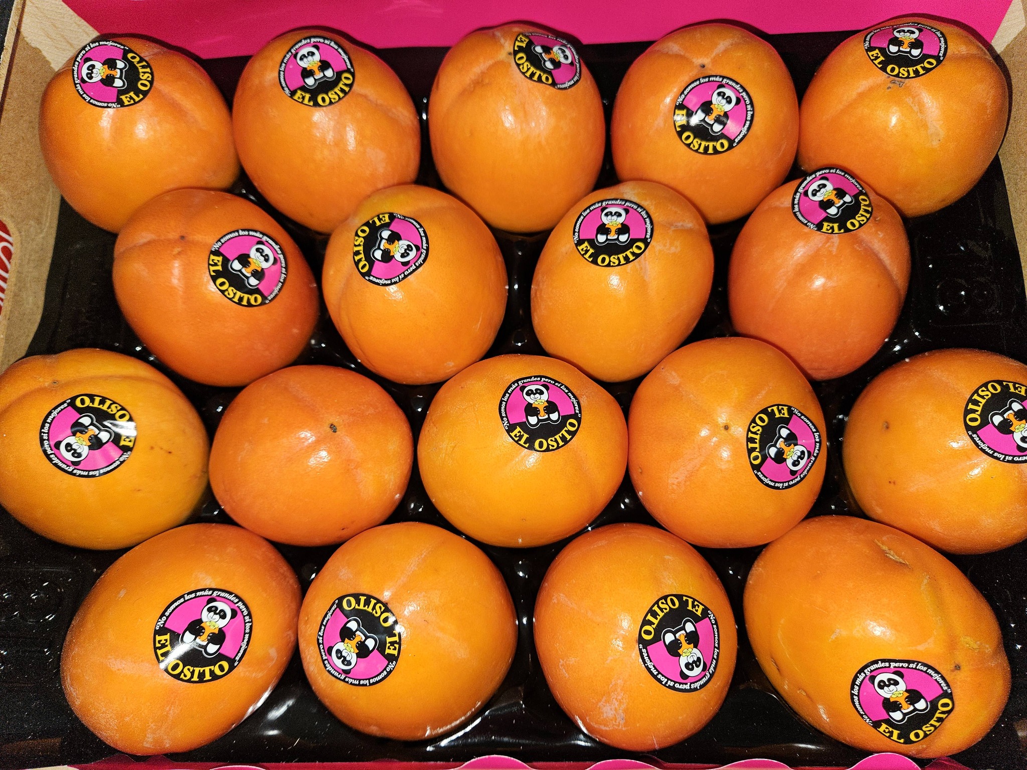 Produit frais Hamdi Prim'