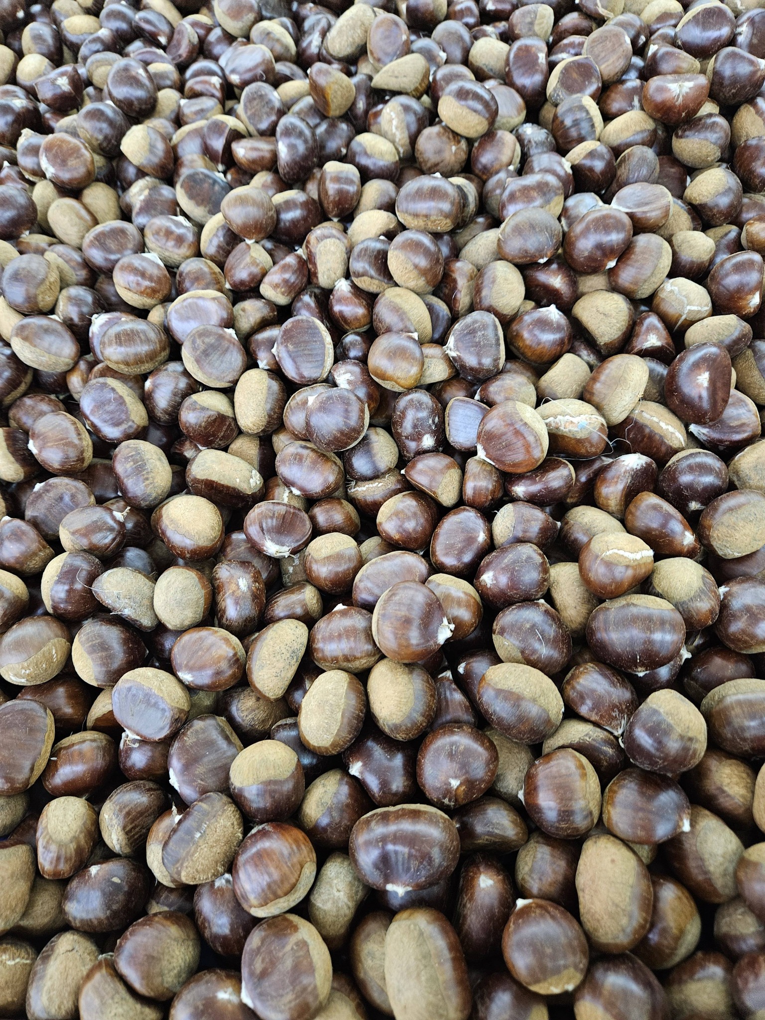 Produit frais Hamdi Prim'
