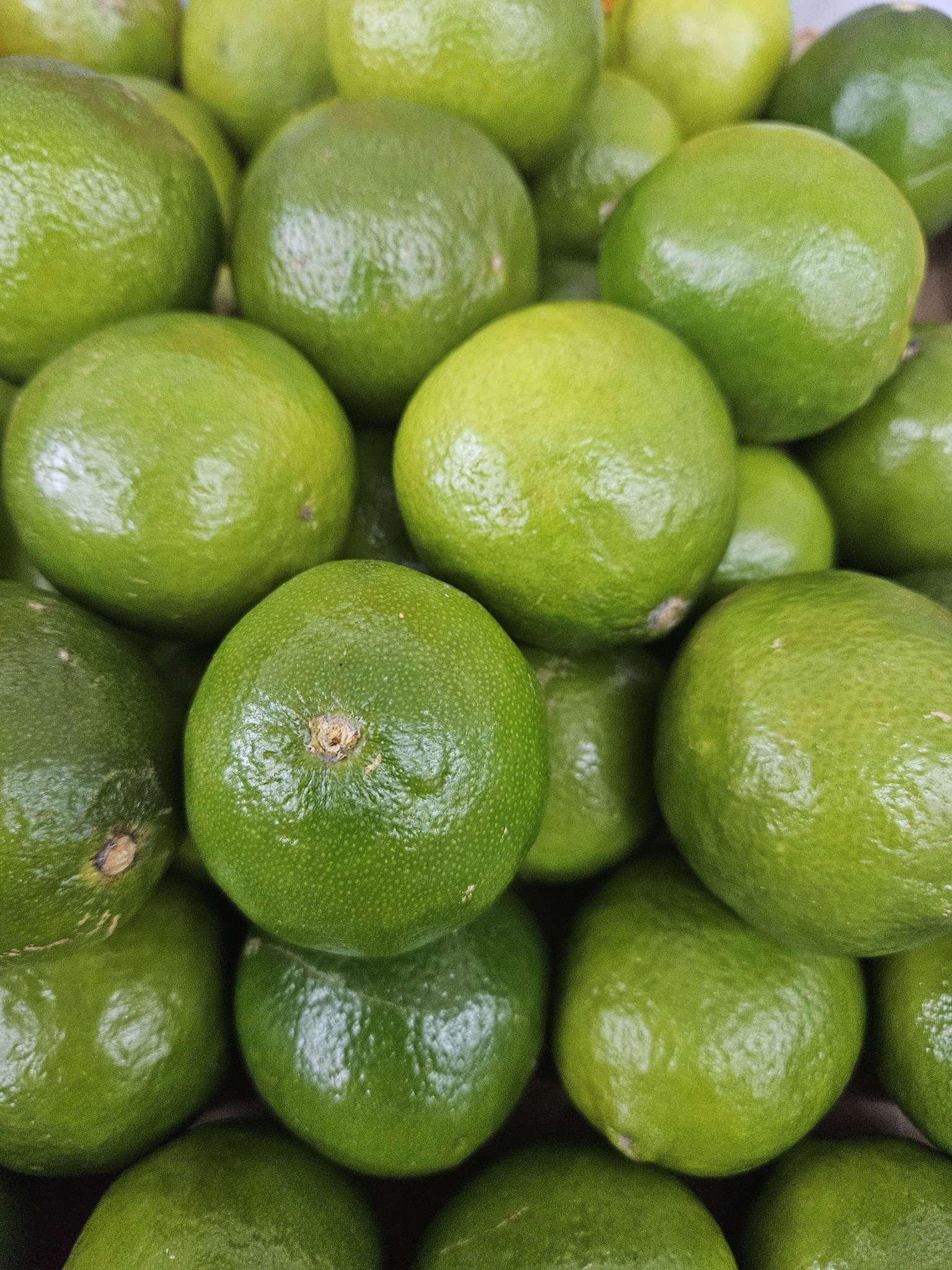 Produit frais Hamdi Prim'