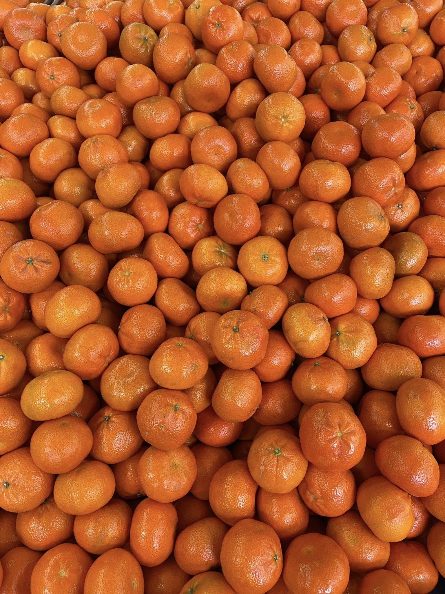 Produit frais Hamdi Prim'