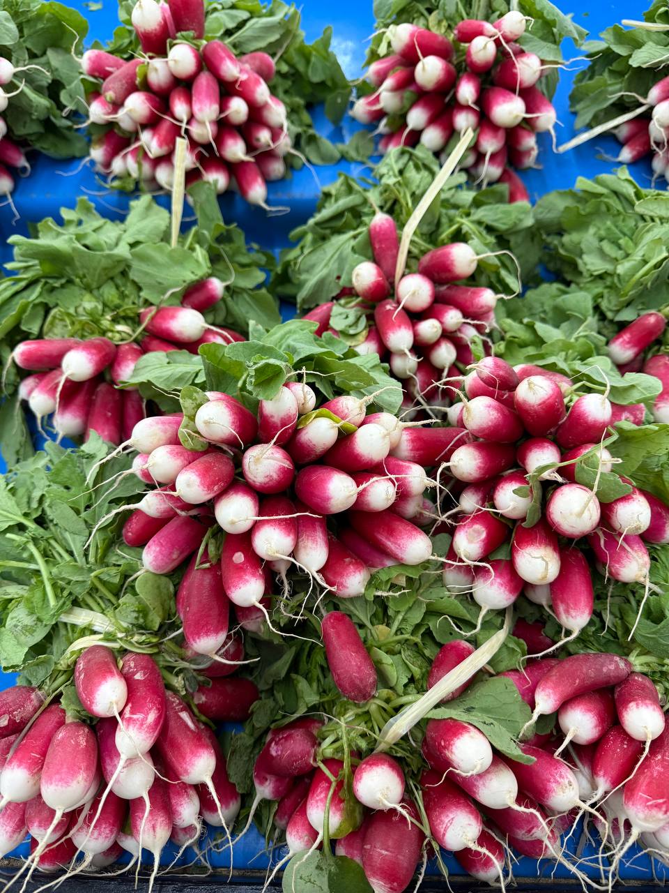 Produit frais Hamdi Prim'