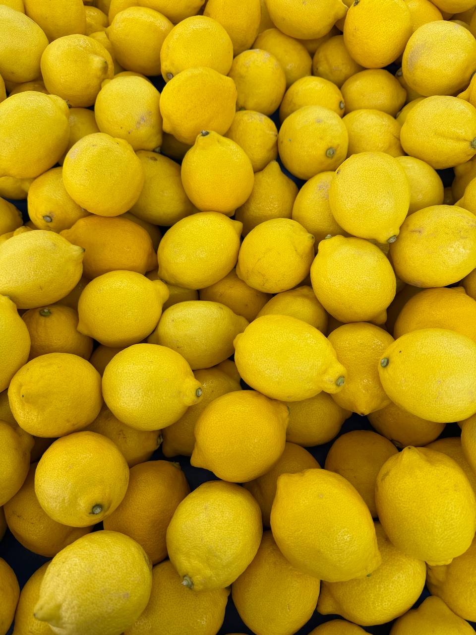 Produit frais Hamdi Prim'
