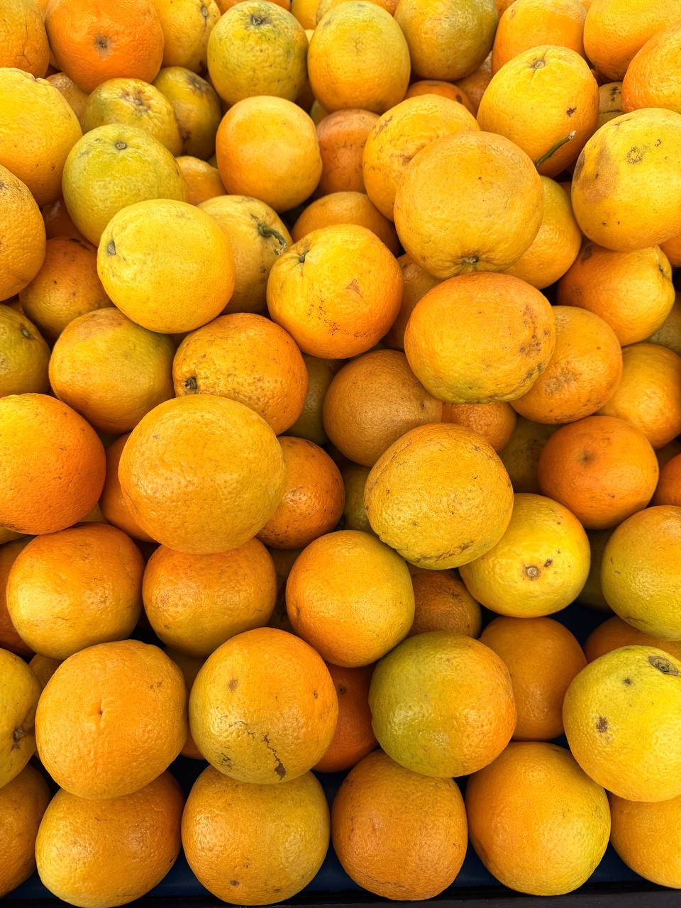 Produit frais Hamdi Prim'