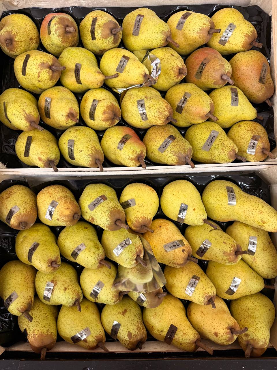 Produit frais Hamdi Prim'