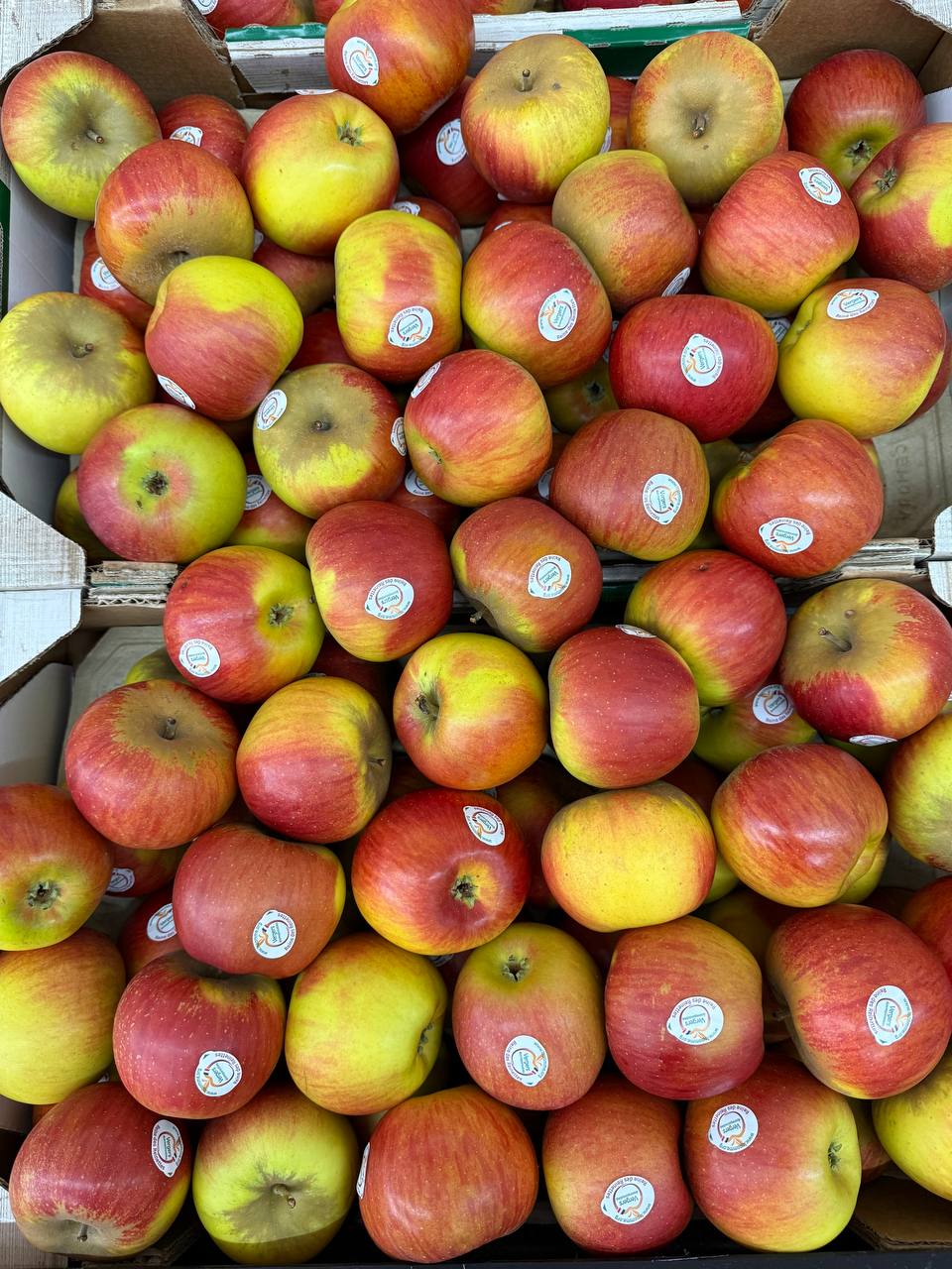 Produit frais Hamdi Prim'