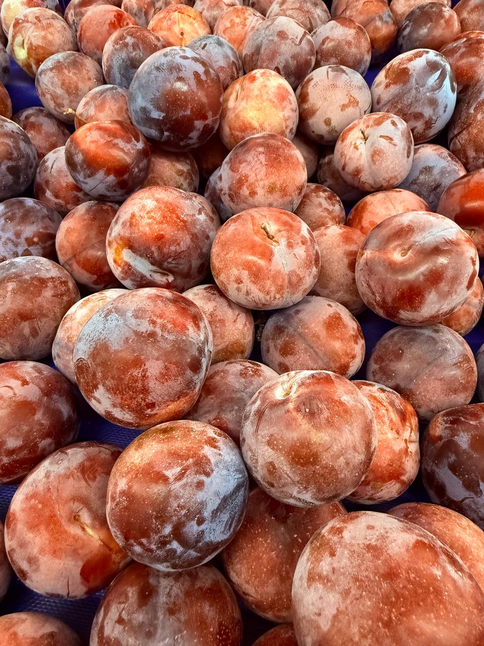 Produit frais Hamdi Prim'