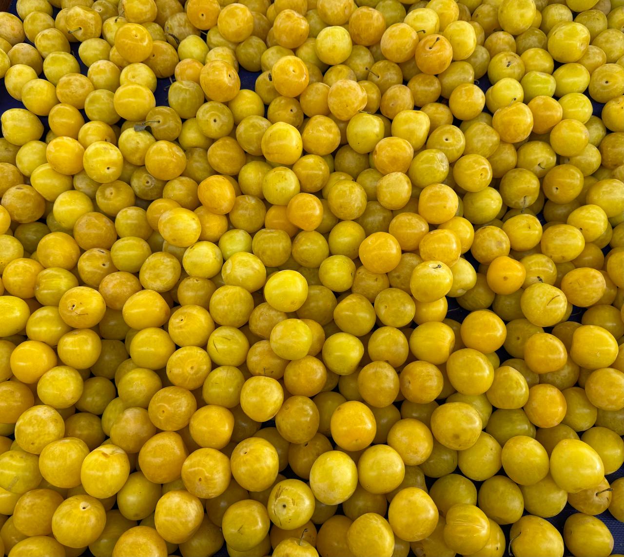 Produit frais Hamdi Prim'