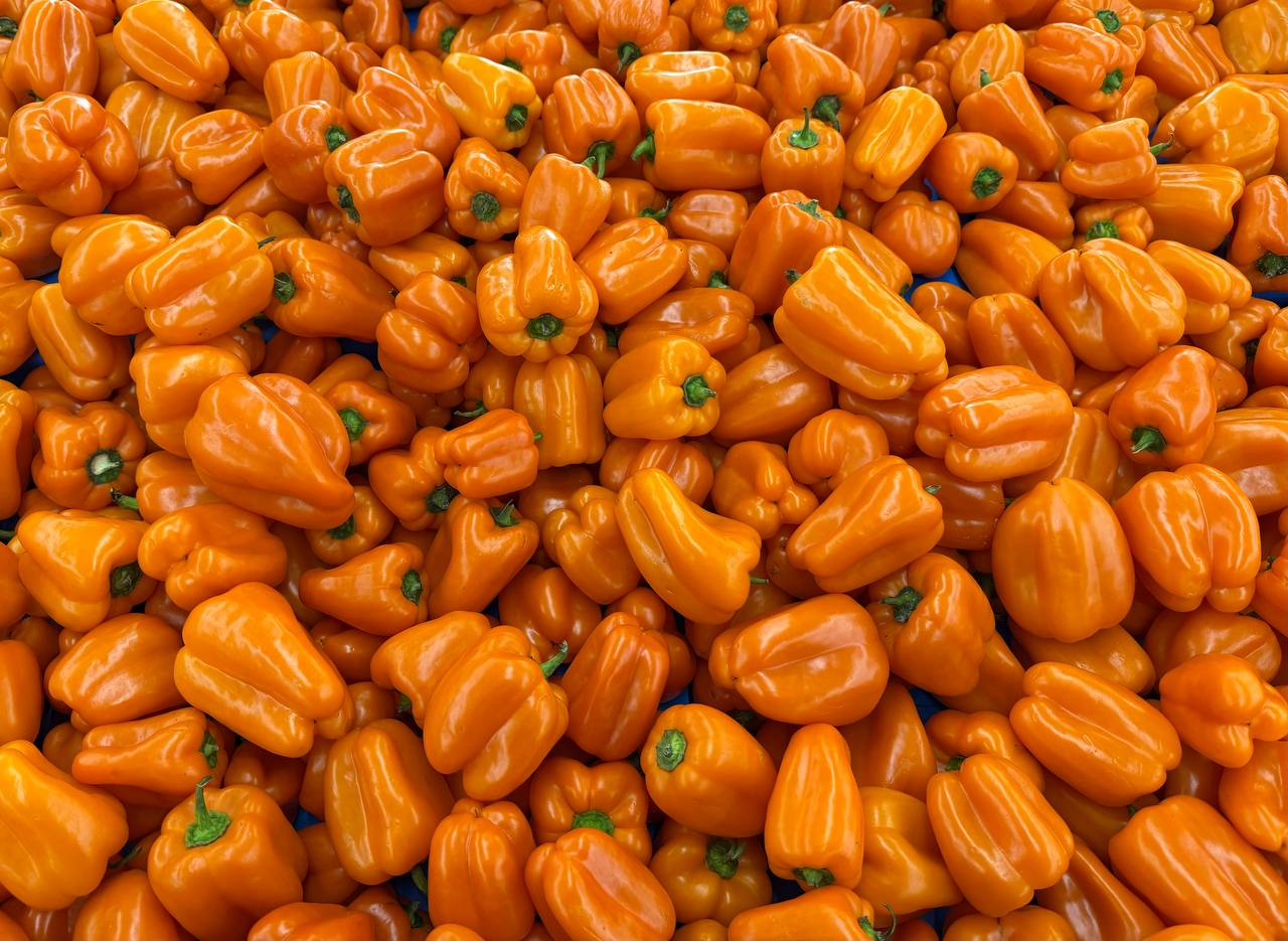 Produit frais Hamdi Prim'